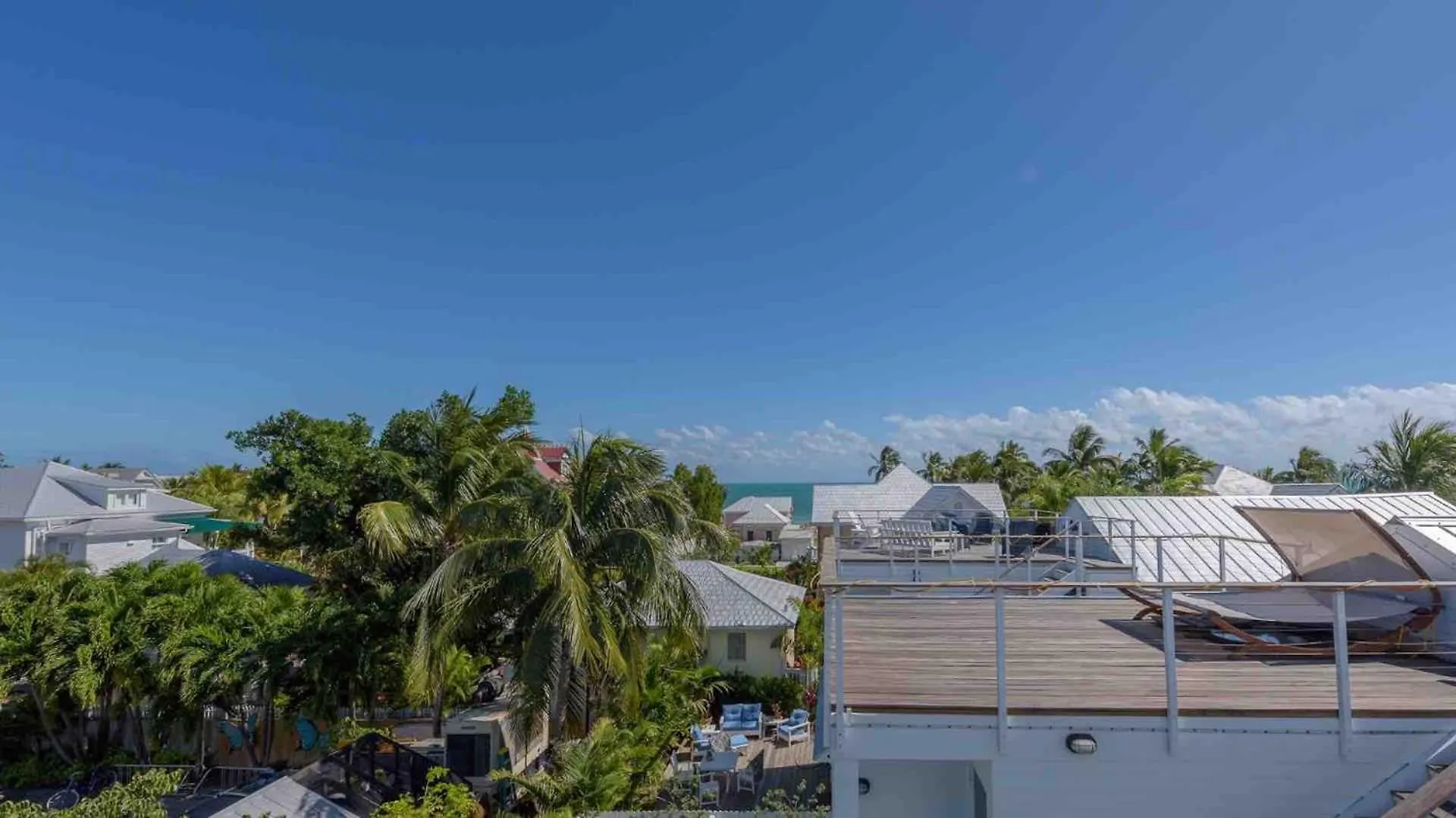 Dance Of The Butterflies By Last Key Realty Key West